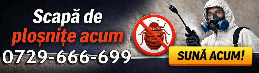 Dezinsectie plosnite Bucuresti